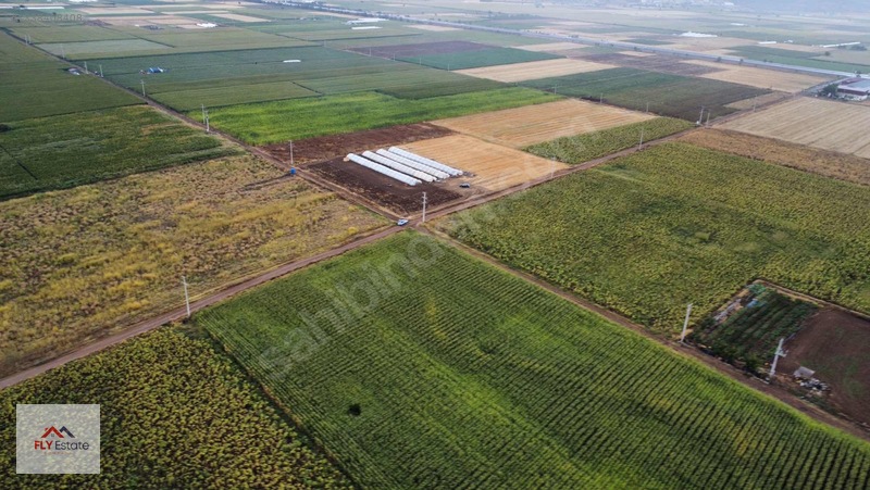 Fly'dan Tavas Pınarlar'da Muğla Yoluna Yakın Köşe Konumda Tarla — fotoğraf 10