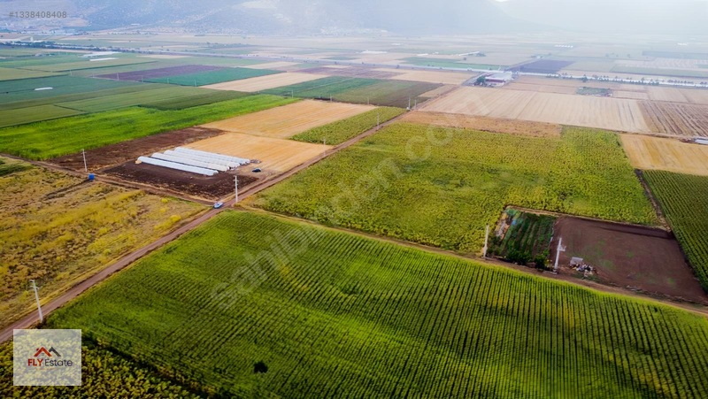 Fly'dan Tavas Pınarlar'da Muğla Yoluna Yakın Köşe Konumda Tarla — fotoğraf 11