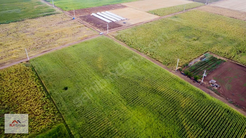 Fly'dan Tavas Pınarlar'da Muğla Yoluna Yakın Köşe Konumda Tarla — fotoğraf 12
