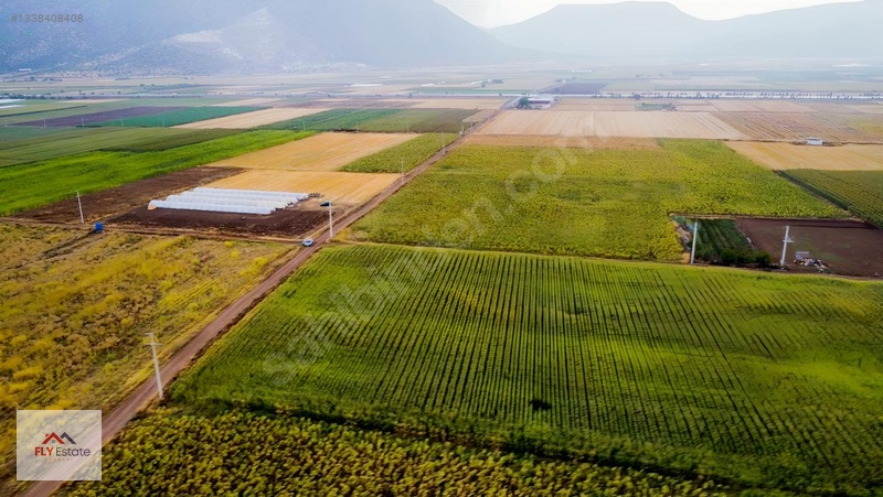 Fly'dan Tavas Pınarlar'da Muğla Yoluna Yakın Köşe Konumda Tarla — fotoğraf 13