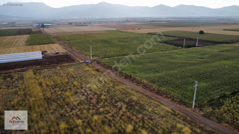 Fly'dan Tavas Pınarlar'da Muğla Yoluna Yakın Köşe Konumda Tarla — fotoğraf 14