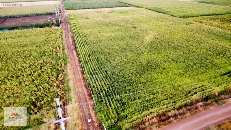 Fly'dan Tavas Pınarlar'da Muğla Yoluna Yakın Köşe Konumda Tarla — fotoğraf 16