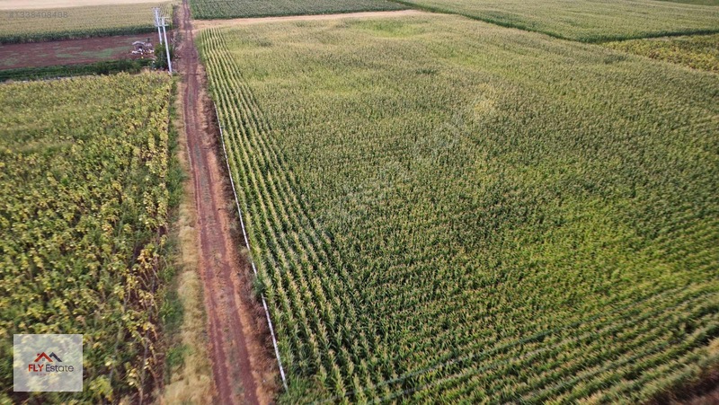 Fly'dan Tavas Pınarlar'da Muğla Yoluna Yakın Köşe Konumda Tarla — fotoğraf 17