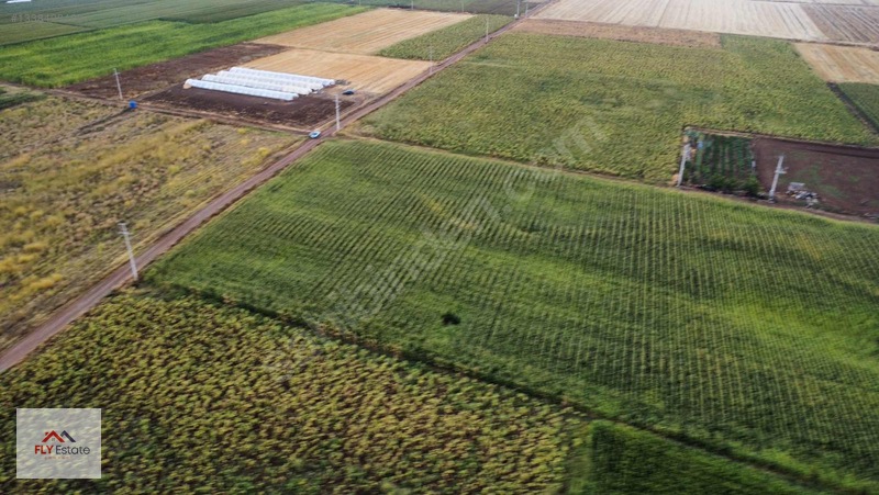 Fly'dan Tavas Pınarlar'da Muğla Yoluna Yakın Köşe Konumda Tarla — fotoğraf 18