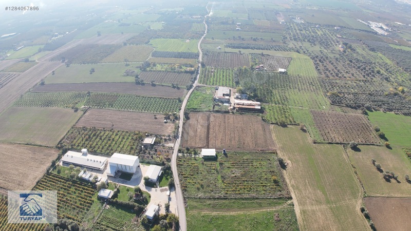 Kemalpaşa Ören Depo Yapımına Uygun 7062 M2 Satılık Arazi — fotoğraf 18