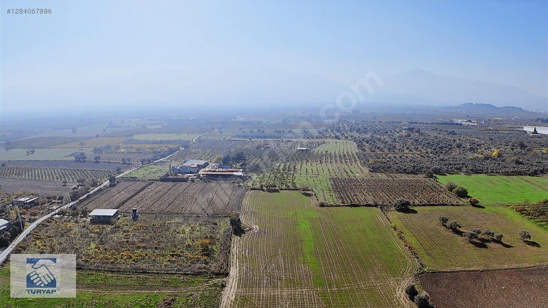 Kemalpaşa Ören Depo Yapımına Uygun 7062 M2 Satılık Arazi — fotoğraf 20