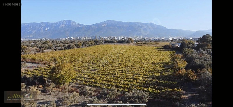 Manisa Evranosta Eski Muradiye Yolu Üstü Satılık Arazi