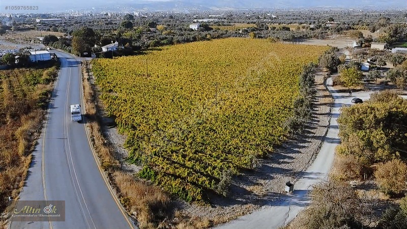 Manisa Evranosta Eski Muradiye Yolu Üstü Satılık Arazi — fotoğraf 3