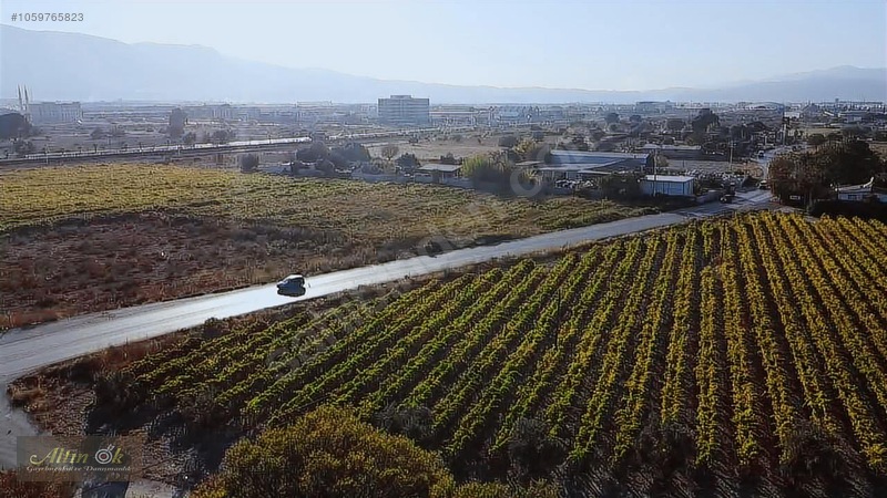 Manisa Evranosta Eski Muradiye Yolu Üstü Satılık Arazi — fotoğraf 4