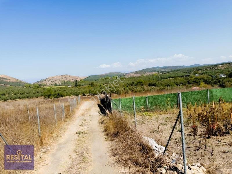 Yalıçiftlik'te Satılık Bahçeler — fotoğraf 7