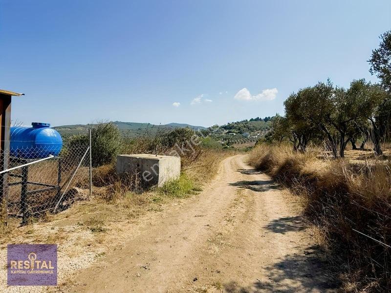 Yalıçiftlik'te Satılık Bahçeler — fotoğraf 12