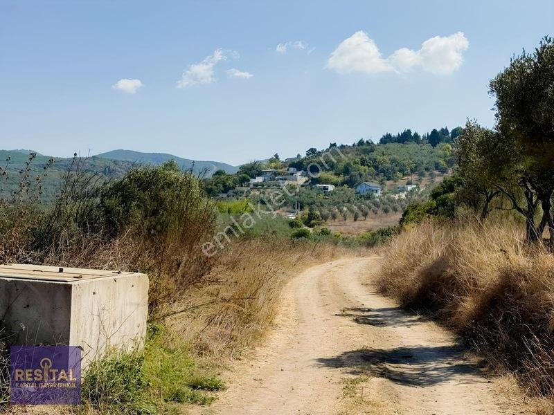 Yalıçiftlik'te Satılık Bahçeler — fotoğraf 15