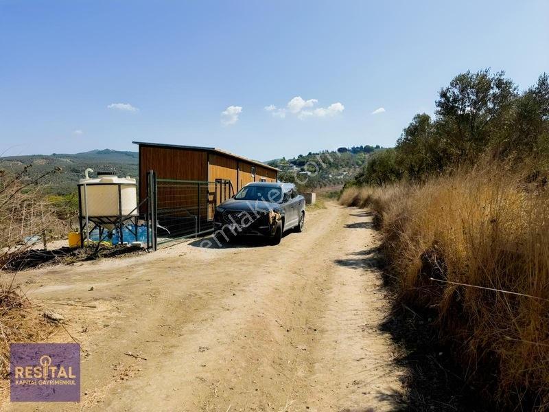 Yalıçiftlik'te Satılık Bahçeler — fotoğraf 22
