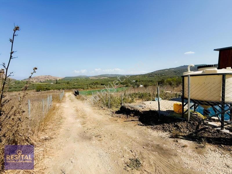 Yalıçiftlik'te Satılık Bahçeler — fotoğraf 24