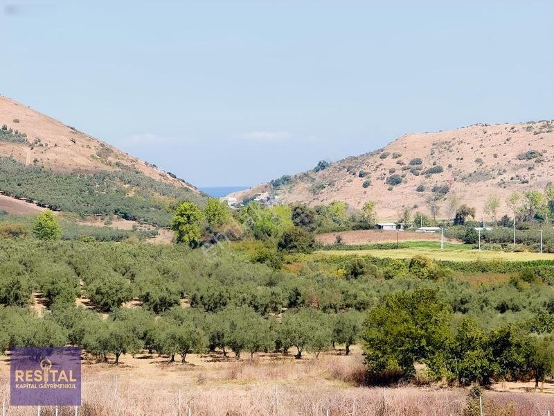 Yalıçiftlik'te Satılık Bahçeler — fotoğraf 28