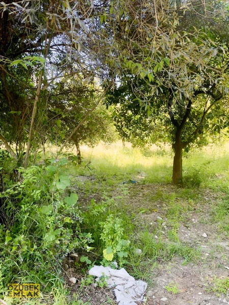 Konyaaltında Müstakil Tapulu — fotoğraf 3