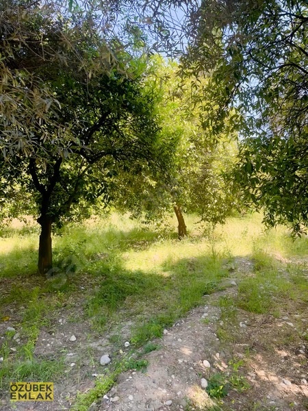 Konyaaltında Müstakil Tapulu — fotoğraf 4