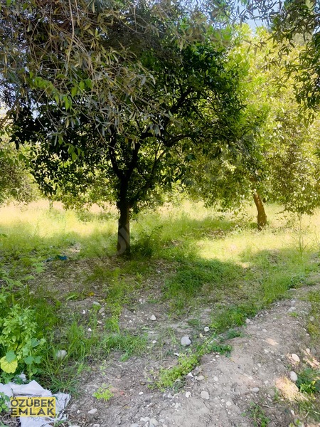 Konyaaltında Müstakil Tapulu — fotoğraf 5