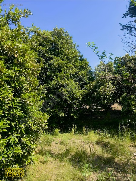 Konyaaltında Müstakil Tapulu — fotoğraf 11