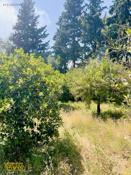 Konyaaltında Müstakil Tapulu — fotoğraf 12