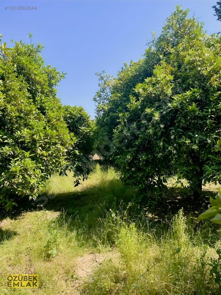 Konyaaltında Müstakil Tapulu — fotoğraf 13