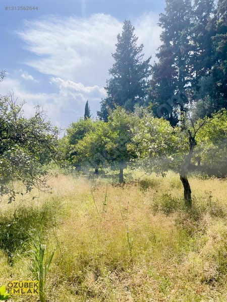 Konyaaltında Müstakil Tapulu — fotoğraf 15