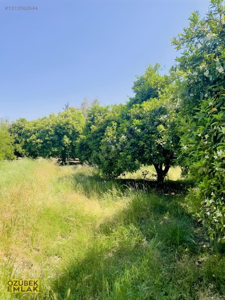 Konyaaltında Müstakil Tapulu — fotoğraf 16