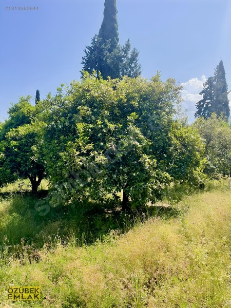 Konyaaltında Müstakil Tapulu — fotoğraf 17