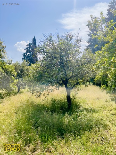 Konyaaltında Müstakil Tapulu — fotoğraf 18