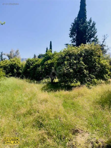 Konyaaltında Müstakil Tapulu — fotoğraf 19