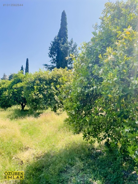 Konyaaltında Müstakil Tapulu — fotoğraf 20