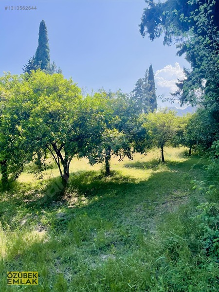 Konyaaltında Müstakil Tapulu — fotoğraf 21