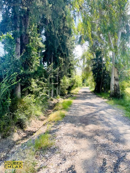 Konyaaltında Müstakil Tapulu — fotoğraf 22