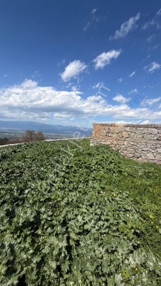Burhaniye Çallı Mahallesi'nde Full Deniz Manzaralı 465 M² Arsa — fotoğraf 2