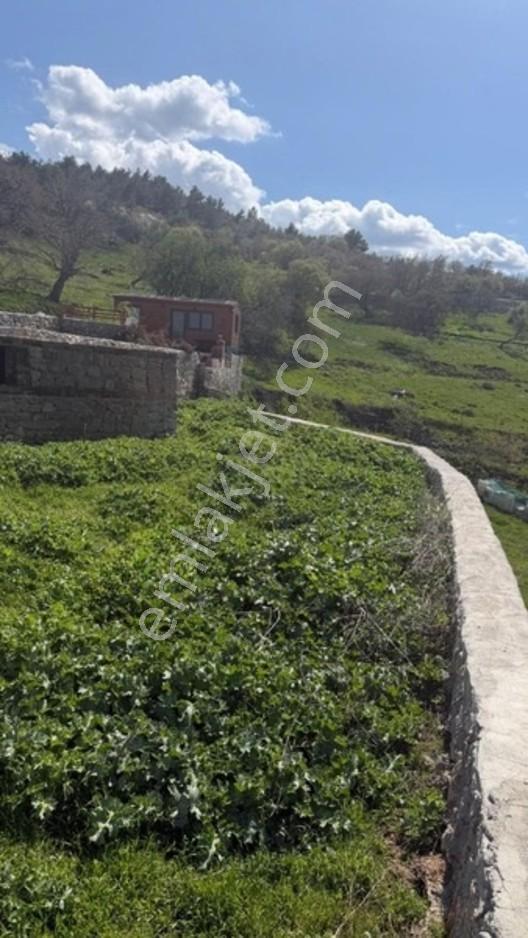 Burhaniye Çallı Mahallesi'nde Full Deniz Manzaralı 465 M² Arsa — fotoğraf 5