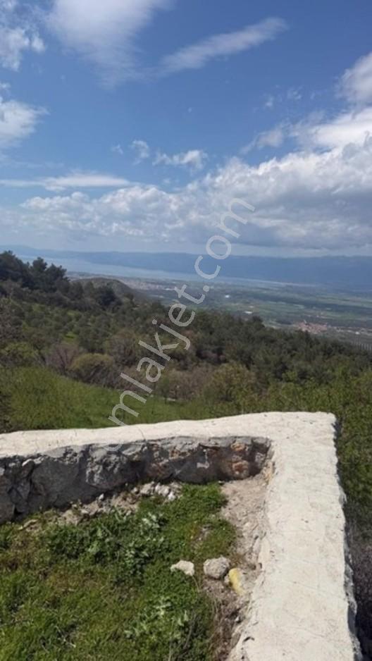 Burhaniye Çallı Mahallesi'nde Full Deniz Manzaralı 465 M² Arsa — fotoğraf 6