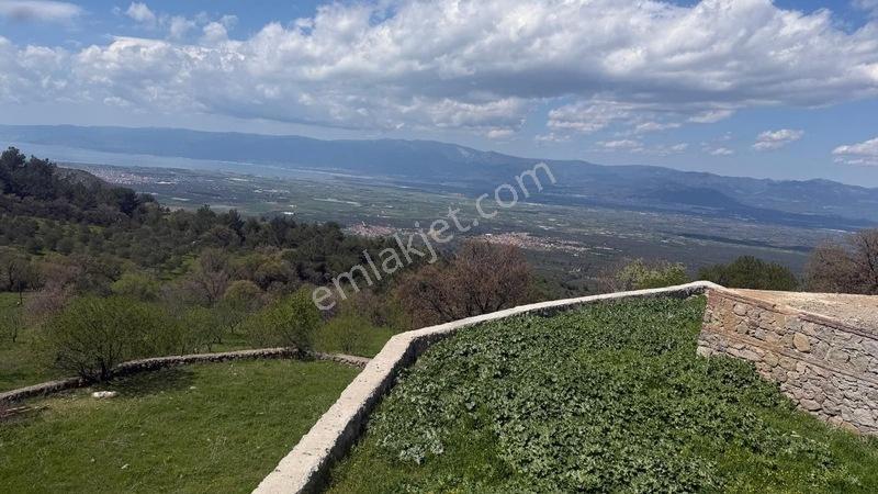 Burhaniye Çallı Mahallesi'nde Full Deniz Manzaralı 465 M² Arsa — fotoğraf 7