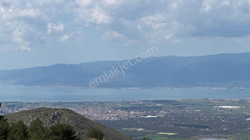 Burhaniye Çallı Mahallesi'nde Full Deniz Manzaralı 465 M² Arsa — fotoğraf 11