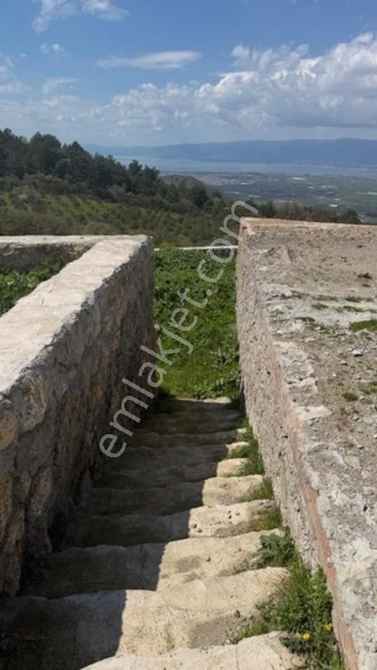 Burhaniye Çallı Mahallesi'nde Full Deniz Manzaralı 465 M² Arsa — fotoğraf 14