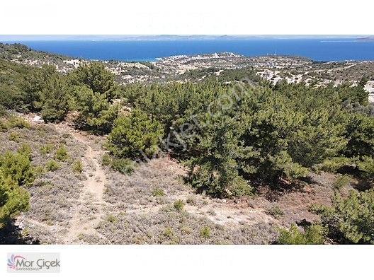 Morçiçek'ten Mordoğan'da Deniz Manzaralı 3427 M2 Tarla... — fotoğraf 2