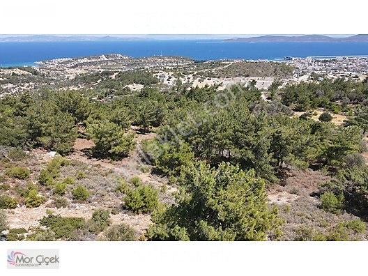 Morçiçek'ten Mordoğan'da Deniz Manzaralı 3427 M2 Tarla... — fotoğraf 3