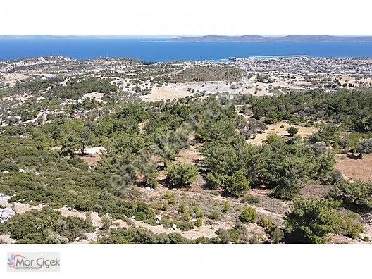 Morçiçek'ten Mordoğan'da Deniz Manzaralı 3427 M2 Tarla... — fotoğraf 4