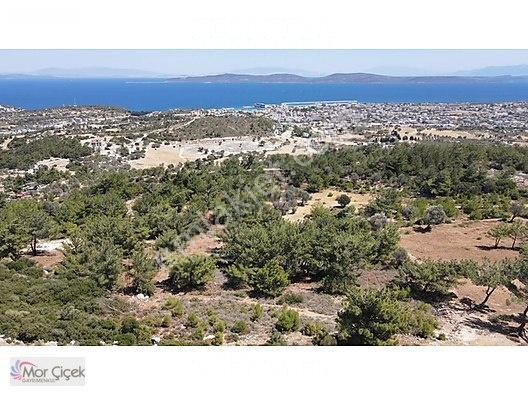 Morçiçek'ten Mordoğan'da Deniz Manzaralı 3427 M2 Tarla... — fotoğraf 6