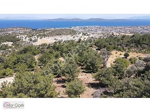 Morçiçek'ten Mordoğan'da Deniz Manzaralı 3427 M2 Tarla... — fotoğraf 10