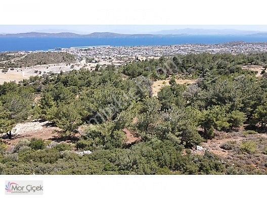 Morçiçek'ten Mordoğan'da Deniz Manzaralı 3427 M2 Tarla... — fotoğraf 12