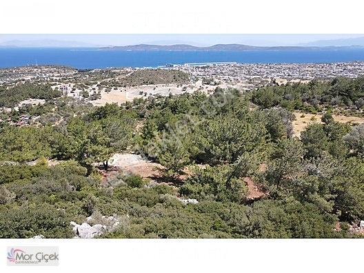 Morçiçek'ten Mordoğan'da Deniz Manzaralı 3427 M2 Tarla... — fotoğraf 13
