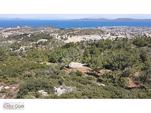 Morçiçek'ten Mordoğan'da Deniz Manzaralı 3427 M2 Tarla... — fotoğraf 14