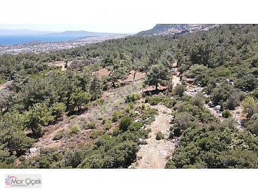 Morçiçek'ten Mordoğan'da Deniz Manzaralı 3427 M2 Tarla... — fotoğraf 15