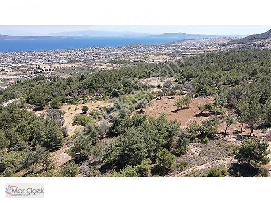Morçiçek'ten Mordoğan'da Deniz Manzaralı 3427 M2 Tarla... — fotoğraf 17