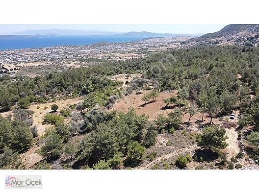 Morçiçek'ten Mordoğan'da Deniz Manzaralı 3427 M2 Tarla... — fotoğraf 18